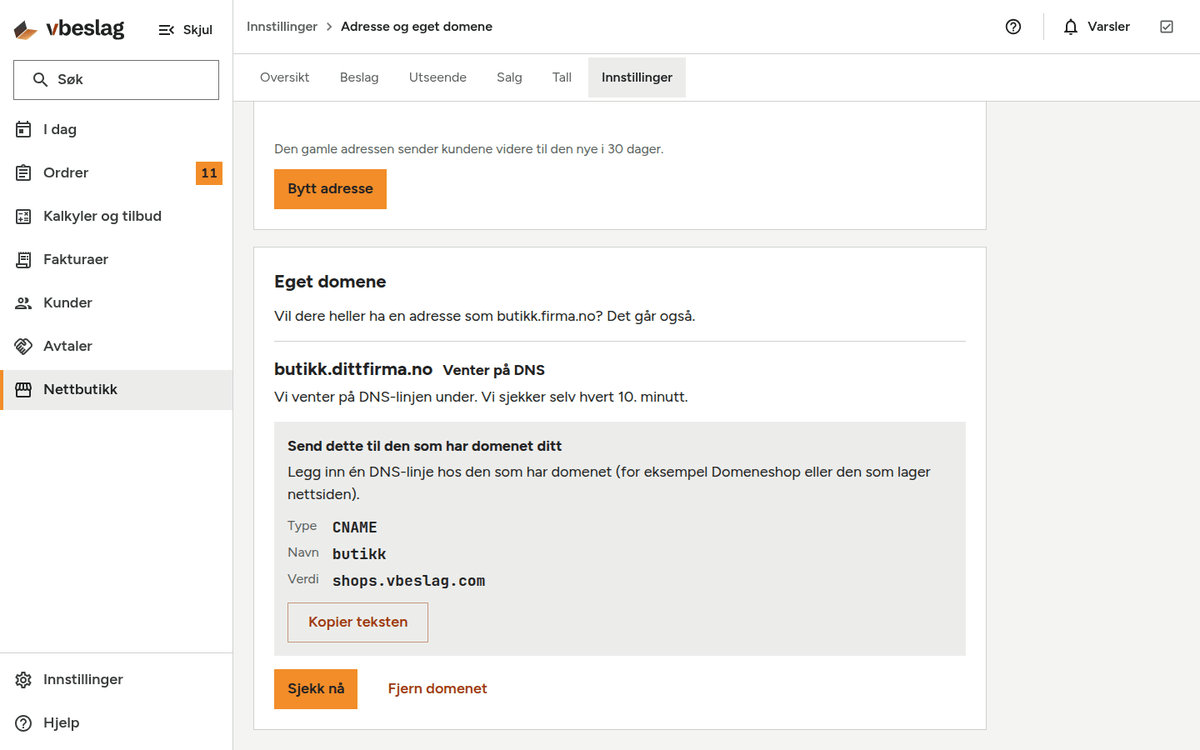Innstillingen «Adresse og eget domene» med DNS-linjen og knappen «Sjekk nå».