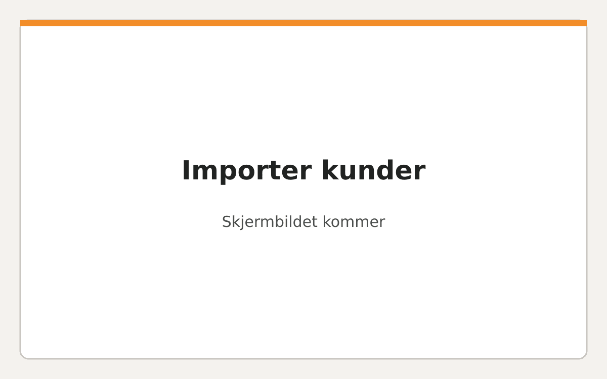 Kunder › «Importer» med forhåndsvisning av kundene fra en CSV-fil.